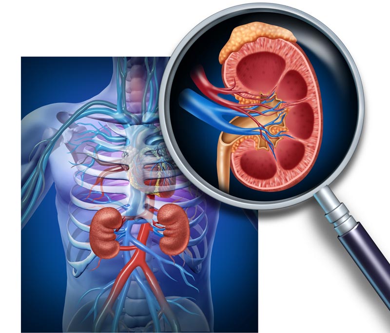nephrology-kidney-center-from-mission